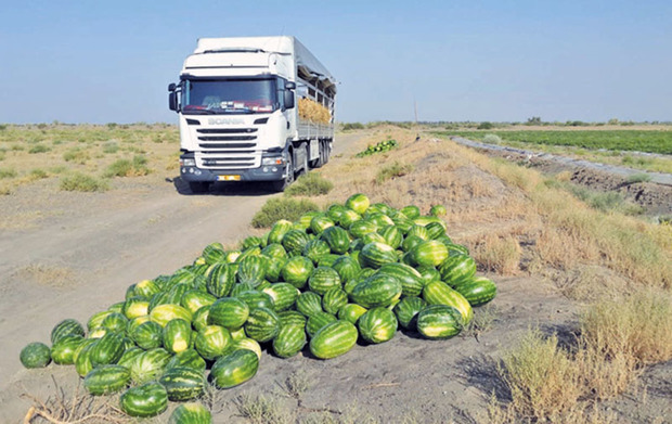 افزون بر500هزار تن محصول جالیزی ازسیستان و بلوچستان حمل شد