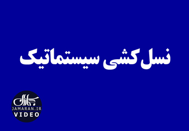 نسل‌کشی سیستماتیک