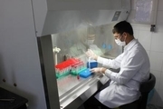 پذیرش روزانه 250 نفر در آزمایشکاه مرکزی ایرانشهر  انجام 130 نوع تست آزمایشگاهی