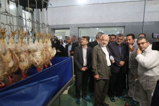 مجتمع زنجیره ای تولید گوشت مرغ در شرق اصفهان بهره برداری شد
