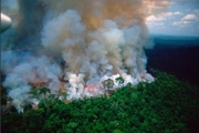 برزیل بالاخره با دریافت کمک برای خاموش کردن آتش سوزی آمازون موافقت کرد