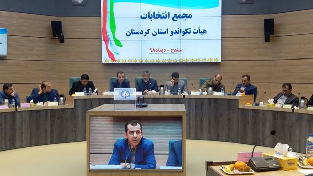 رییس هیات تکواندو کردستان انتخاب شد