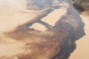 آبگیری از کانال سلمان به دلیل احتمال آلودگی نفتی متوقف شد