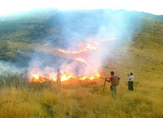 آتش سوزی در "مراتع علمدار داغی جلفا" در حال مهار شدن است