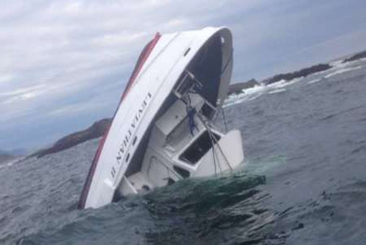 حادثه برای قایق تماشای نهنگ+ عکس