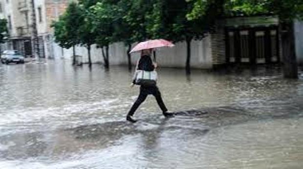 بارندگی مدارس برخی مناطق استان  بوشهر را تعطیل کرد