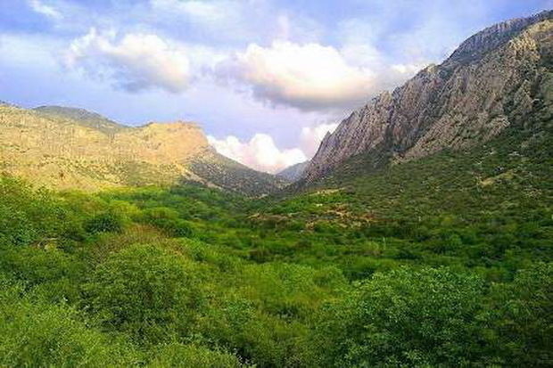 آذربایجان غربی رتبه سوم کشور را در تولید علوفه داراست