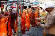 چین باید بازار‌های فروش حیوانات وحشی را برای همیشه تعطیل کند