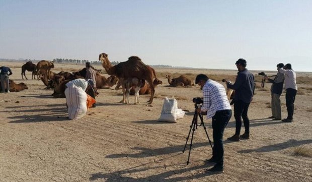 ساخت فیلم مستند چوکه در بوشهر آغاز شد