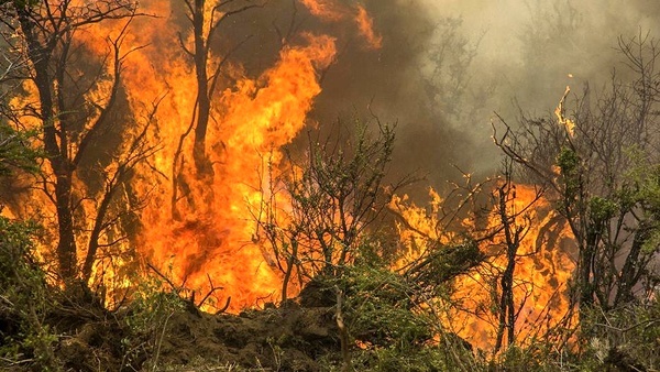 اطفاء آتش‌سوزی جنگل‌ها و مراتع مسجد سلیمان توسط بالگردهای هوانیروز
