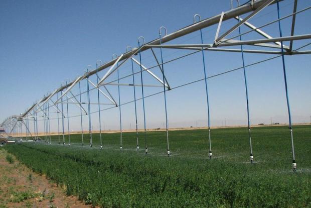 63 پروژه کشاورزی استان تهران در هفته دولت افتتاح می شود