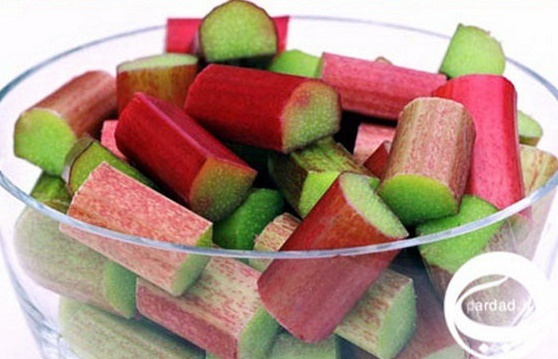 ریواس چه خواص درمانی دارد؟