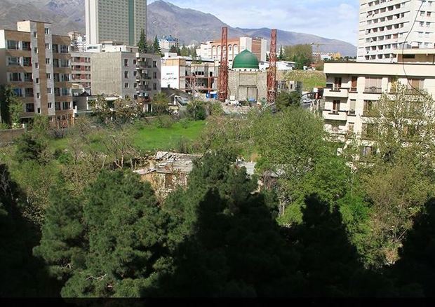 عضو شورای شهر تهران خواستار لغو مصوبه برج باغ ها شد
