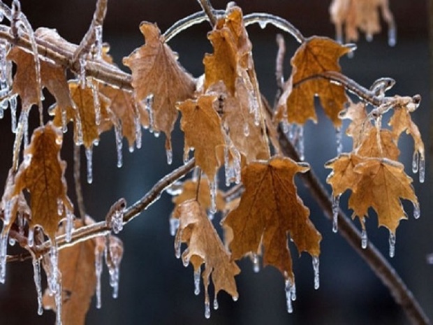 سرما در خراسان جنوبی باعث یخبندان می شود