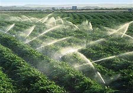 رئیس جهاد کشاورزی خوزستان: تسهیلات بلاعوض آبیاری تحت فشار به کشاورزان خوزستانی پرداخت می شود