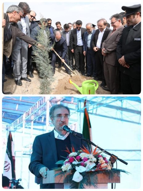 شهردار مشهد: شهروندان مشهدی حضور خوبی در روز درختکاری داشتند
