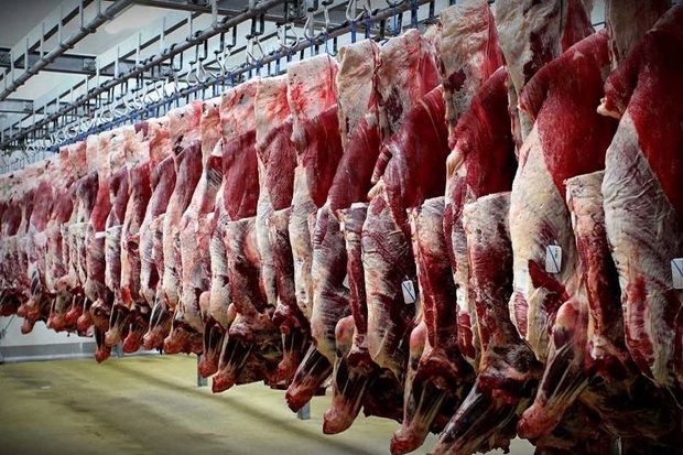 توزیع 10 تن گوشت وارداتی در قزوین آغاز شد