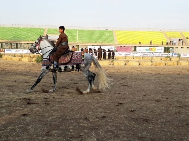 دومین جشنواره ملی اسب کُرد در سنندج برگزار می شود
