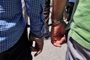 مخلان نظم و امنیت عمومی در تایباد دستگیر شدند