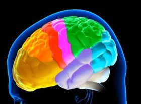 بخش های مختلف مغز با سرعت های متفاوت پیر می شوند