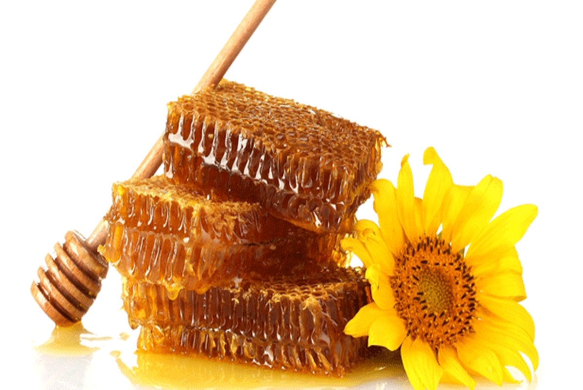 تولید ۷۸ هزار تن عسل در کشور