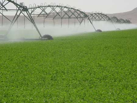 آبیاری بیش از 2 هزار هکتار اراضی کشاورزی خواف با روشهای نوین