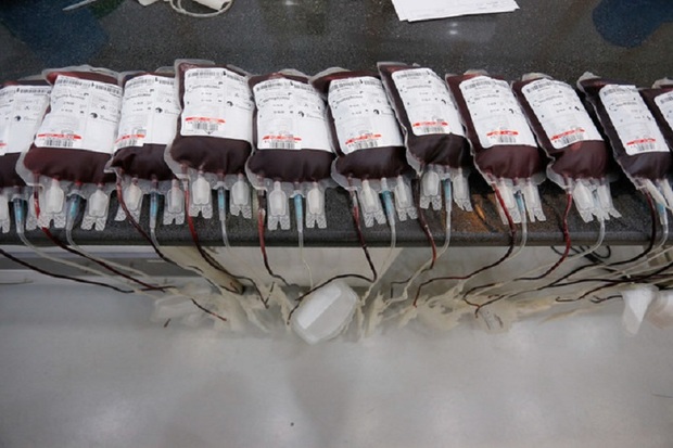 ضایعات خون اهدایی اردبیل پایین تر از میانگین کشوری است