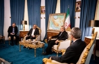 وزیر کشور پاکستان با علی لاریجانی دیدار کرد + تصاویر (4)