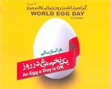 تولید 9 درصد تخم مرغ کشور در آذربایجان شرقی