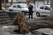 تصاویری از خسارات طوفان ارومیه