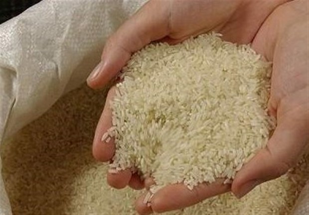 برنج های وارداتی به قیمت مصوب عرضه می شود