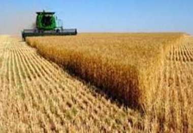 مراکز خرید محصولات کشاورزی بیله سوار خرداد ماه فعال  می شوند