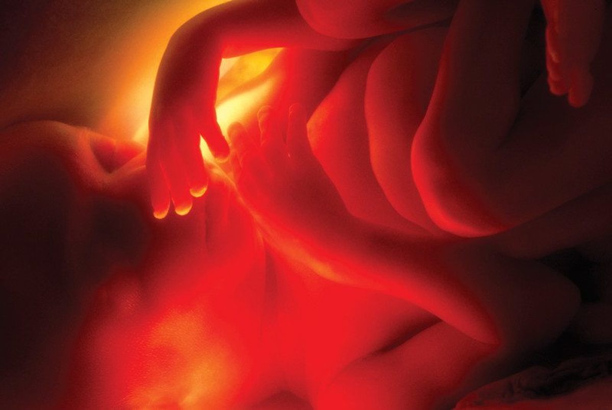 خلق جنین بدون تخمک و اسپرم!
