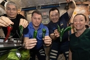جایزه میلیون دلاری ناسا برای حل مشکل غذایی فضانوردان