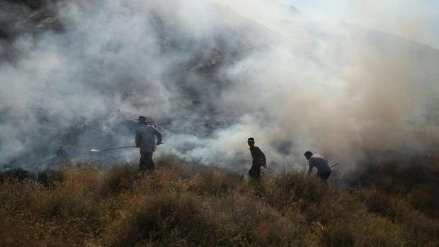 آتش سوزی در 130 هکتار از مراتع داراب مهار شد