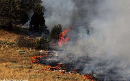 هشدار حفاظت محیط زیست گیلان در خصوص بروز آتش سوزی در مناطق جنگلی