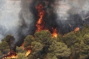 چه کسانی از آتش‌ سوزی جنگل های زاگرس سود می برند؟