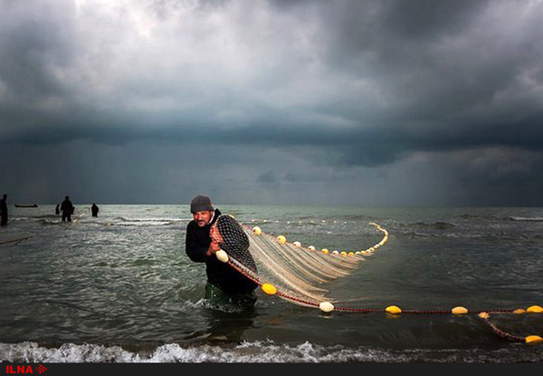 صید ماهی در غرب استان گیلان آغاز شد فعالیت 400 صیاد در نوار ساحلی آستارا و تالش