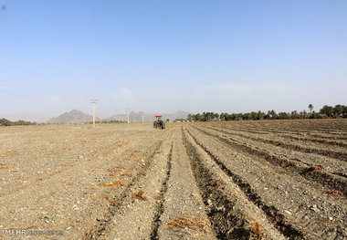 ۲۱۰۰ هکتار از اراضی ملی به منابع طبیعی خوزستان اعاده شد