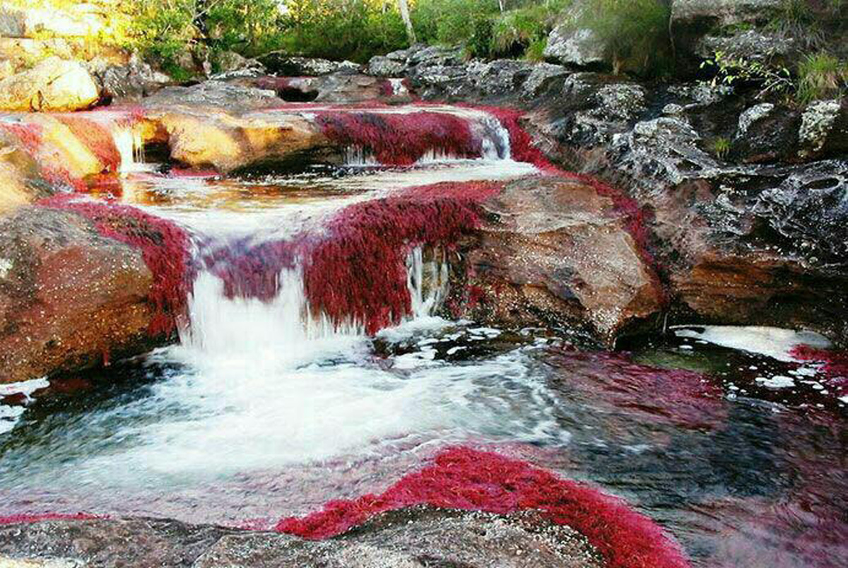 رودخانه رنگین کمانی، زیباترین رودخانه جهان