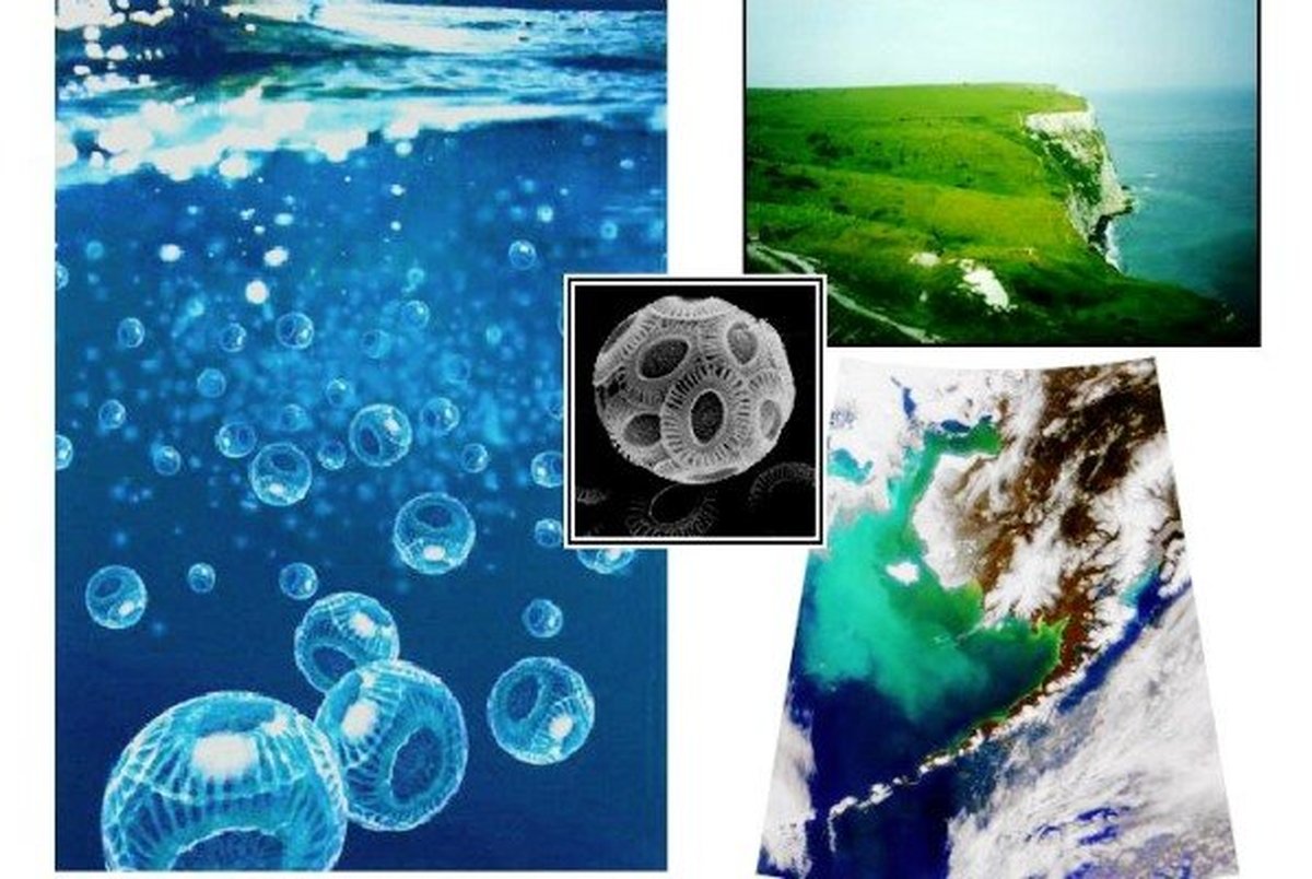 رشد غیرعادی جمعیت پلانکتونها در اقیانوسهای جهان