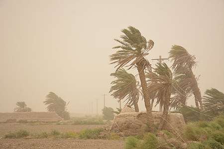 طوفان و گردوغبار افزون بر هزار نفر را به مراکز درمانی سیستان کشاند