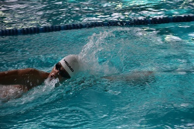 نتایچ چند رشته از شنای قهرمانی کشور در شیراز مشخص شد