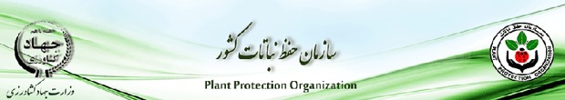 احتمال طغیان جمعیت ملخ صحرایی