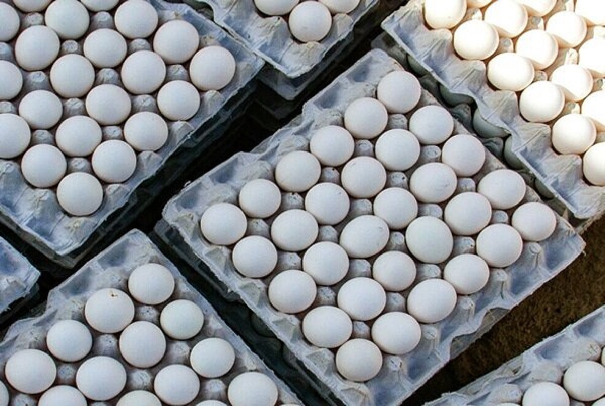 قیمت تخم مرغ در اولین روز بهمن 1401