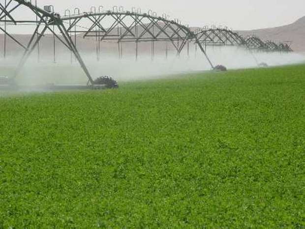 102هزارهکتار زمین کشاورزی به آبیاری نوین مجهز شد