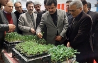 سفر دو روزه معاون رییس جمهور به روستاها و مناطق محروم خراسان شمالی (2)