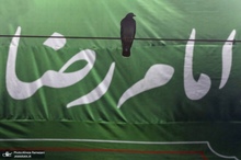 حال و هواى حرم مطهر رضوی در شام ولادت امام رضا (ع)