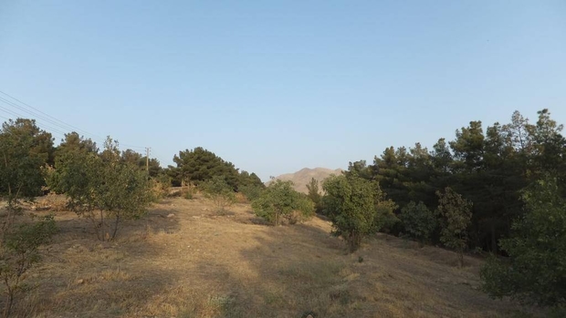توسعه بوستان جنگلی سرخه حصار در دستور کار قرار گرفت