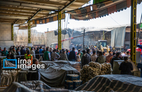 تصاویری از سقوط بالگرد ارتش در «درچه» اصفهان (13)